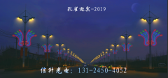 孔雀迎宾-2019