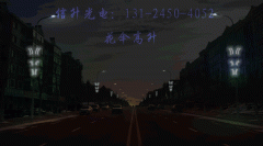 花伞高升-2019